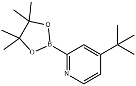 4-(tert-butyl)-2-(4,4,5,5-tetramethyl-1,3,2-dioxaborolan-2-yl)pyridine Struktur