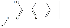 5-(tert-butyl)pyridine-2-carboxylic acid hydrochloride Struktur