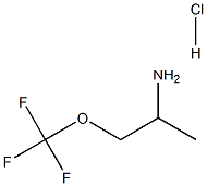 1-Methyl-2-trifluoromethoxy-ethylamine hydrochloride Struktur