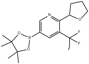 2-(tetrahydrofuran-2-yl)-5-(4,4,5,5-tetramethyl-1,3,2-dioxaborolan-2-yl)-3-(trifluoromethyl)pyridine Struktur