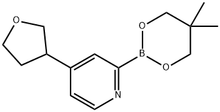 4-(Oxolan-3-yl)pyridine-2-boronic acid neopentylglycol ester Struktur