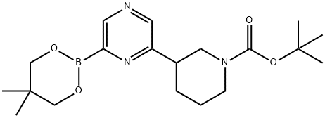 6-(N-Boc-Piperidin-3-yl)pyrazine-2-boronic acid neopentylglycol ester Struktur