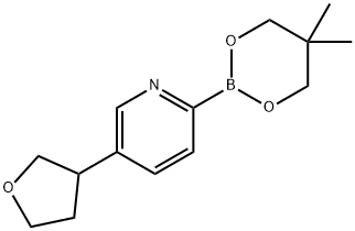 5-(Oxolan-3-yl)pyridine-2-boronic acid neopentylglycol ester Struktur