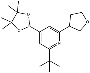 2-(tert-butyl)-6-(tetrahydrofuran-3-yl)-4-(4,4,5,5-tetramethyl-1,3,2-dioxaborolan-2-yl)pyridine Struktur