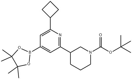 2-(Cyclobutyl)-6-(N-Boc-piperidin-3-yl)pyridine-4-boronic acid pinacol ester Struktur