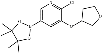 6-Chloro-5-(tetrahydrofuran-3-yloxy)pyridine-3-boronic acid pinacol ester Struktur