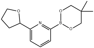 6-(Oxolan-2-yl)pyridine-2-boronic acid neopentylglycol ester Struktur