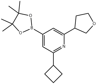 2-(Cyclobutyl)-6-(oxolan-3-yl)pyridine-4-boronic acid pinacol ester Struktur