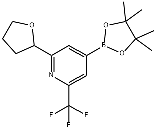 2-(tetrahydrofuran-2-yl)-4-(4,4,5,5-tetramethyl-1,3,2-dioxaborolan-2-yl)-6-(trifluoromethyl)pyridine Struktur