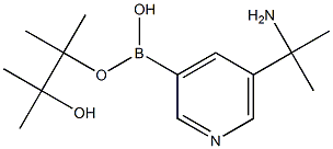 5-(2-Aminopropan-2-yl)pyridine-3-boronic acid pinacol ester Struktur