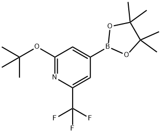 2-Trifluoromethyl-6-(tert-butoxy)pyridine-4-boronic acid pinacol ester Struktur