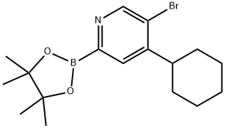 5-Bromo-4-(cyclohexyl)pyridine-2-boronic acid pinacol ester Struktur