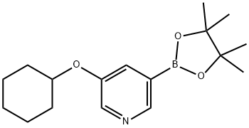 5-(Cyclohexyloxy)pyridine-3-boronic acid pinacol ester Struktur