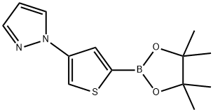 4-(1H-Pyrazol-1-yl)thiophene-2-boronic acid pinacol ester Struktur