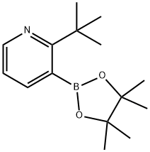 2-(tert-Butyl)pyridine-3-boronic acid pinacol ester Struktur