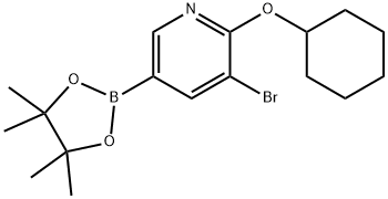 5-Bromo-6-(cyclohexyloxy)pyridine-3-boronic acid pinacol ester Struktur