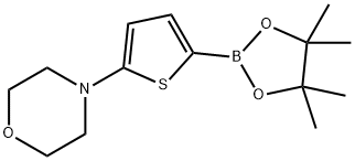 5-(Morpholino)thiophene-2-boronic acid pinacol ester Struktur