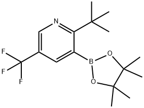 2-(tert-Butyl)-5-trifluoromethylpyridine-3-boronic acid pinacol ester Struktur