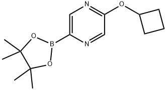 2-cyclobutoxy-5-(4,4,5,5-tetramethyl-1,3,2-dioxaborolan-2-yl)pyrazine Struktur