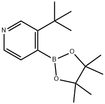 3-(tert-Butyl)pyridine-4-boronic acid pinacol ester Struktur