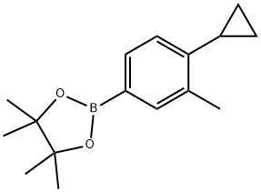 2-(4-cyclopropyl-3-methylphenyl)-4,4,5,5-tetramethyl-1,3,2-dioxaborolane Struktur