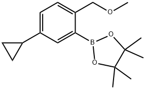 2-(5-cyclopropyl-2-(methoxymethyl)phenyl)-4,4,5,5-tetramethyl-1,3,2-dioxaborolane Struktur