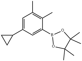 2,3-Dimethyl-5-cyclopropylphenylboronic acid pinacol ester Struktur