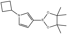 1-cyclobutyl-3-(4,4,5,5-tetramethyl-1,3,2-dioxaborolan-2-yl)-1H-pyrrole Struktur