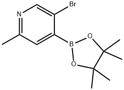 3-Bromo-6-methylpyridine-4-boronic acid pinacol ester Struktur