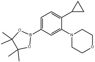 4-(2-cyclopropyl-5-(4,4,5,5-tetramethyl-1,3,2-dioxaborolan-2-yl)phenyl)morpholine Struktur