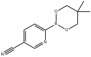 5-Cyanopyridine-2-boronic acid neopentylglycol ester Struktur