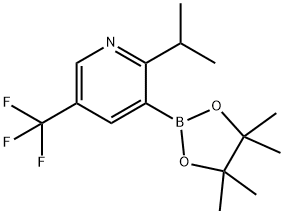 2-(iso-Propyl)-5-trifluoromethylpyridine-3-boronic acid pinacol ester Struktur