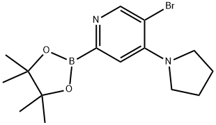 5-Bromo-4-(pyrrolidino)pyridine-2-boronic acid pinacol ester Struktur