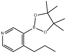 4-(n-Propyl)pyridine-3-boronic acid pinacol ester Struktur