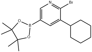 6-Bromo-5-(cyclohexyl)pyridine-3-boronic acid pinacol ester Struktur