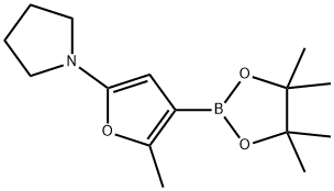 2-Methyl-5-(pyrrolidino)furan-3-boronic acid pinacol ester Struktur