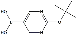 (2-(tert-butoxy)pyrimidin-5-yl)boronic acid Struktur