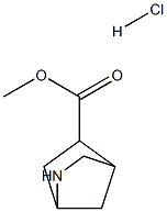 methyl 2-azabicyclo[2.2.1]heptane-5-carboxylate hydrochloride Struktur