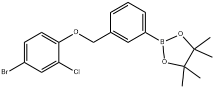 2-(3-((4-bromo-2-chlorophenoxy)methyl)phenyl)-4,4,5,5-tetramethyl-1,3,2-dioxaborolane Struktur