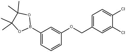 1,3,2-Dioxaborolane, 2-[3-[(3,4-dichlorophenyl)methoxy]phenyl]-4,4,5,5-tetramethyl- Struktur