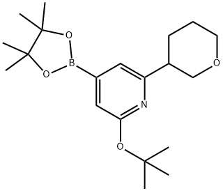 2-(tert-butoxy)-6-(tetrahydro-2H-pyran-3-yl)-4-(4,4,5,5-tetramethyl-1,3,2-dioxaborolan-2-yl)pyridine Struktur