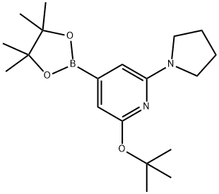 2-(tert-butoxy)-6-(pyrrolidin-1-yl)-4-(4,4,5,5-tetramethyl-1,3,2-dioxaborolan-2-yl)pyridine Struktur