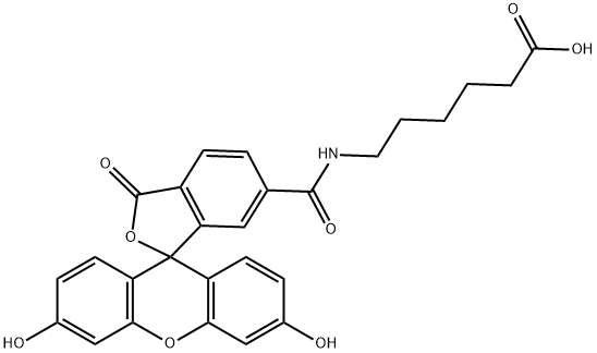 6-[Fluorescein 6-carboxamido]hexanoic acid Struktur