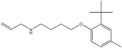 N-allyl-N-[4-(2-tert-butyl-4-methylphenoxy)butyl]amine Struktur