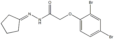 N'-cyclopentylidene-2-(2,4-dibromophenoxy)acetohydrazide Struktur