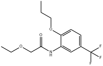 2-ethoxy-N-[2-propoxy-5-(trifluoromethyl)phenyl]acetamide Struktur