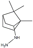 {1,7,7-trimethylbicyclo[2.2.1]heptan-2-yl}hydrazine Struktur