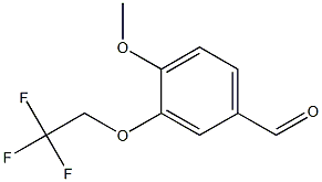 4-methoxy-3-(2,2,2-trifluoroethoxy)benzaldehyde Struktur