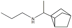 (1-{bicyclo[2.2.1]heptan-2-yl}ethyl)(propyl)amine Struktur