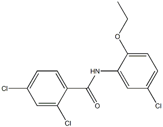 2,4-dichloro-N-(5-chloro-2-ethoxyphenyl)benzamide Struktur